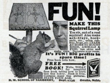 SQUIRREL LAMP